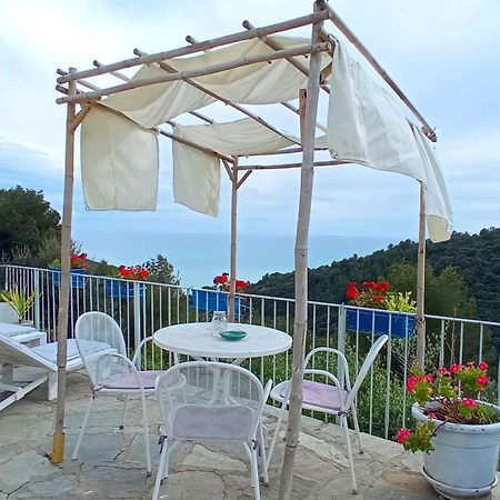 Message In A Bottle Bed And Breakfast Кампоросо Екстериор снимка