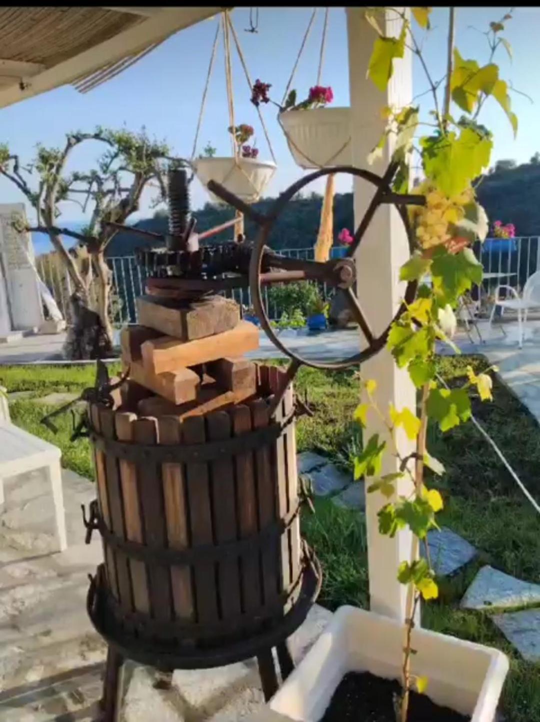 Message In A Bottle Bed And Breakfast Кампоросо Екстериор снимка